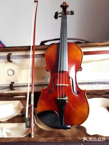 弦音小提琴艺术图片