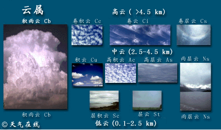 云的分类