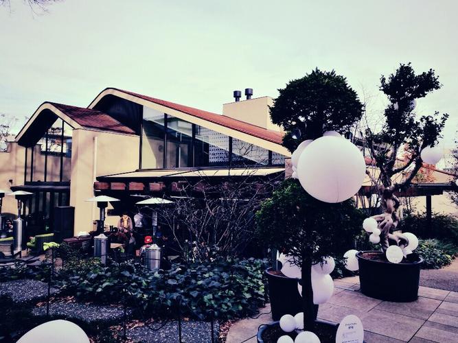 东京代官山人气餐厅ivy place