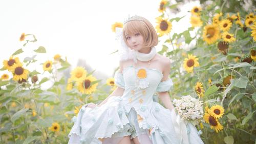 高清lovelive小泉花阳花嫁觉醒cosplay写真电脑桌面壁纸