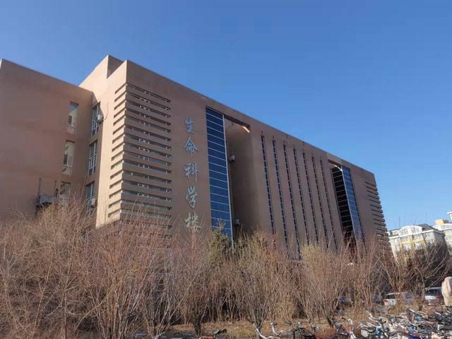 揭秘吉大吉林大学校园环境咋样里面居然有商场
