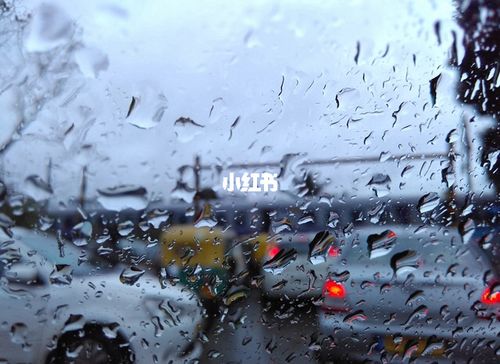 随笔-2,深圳的雨_随笔_d·ee舞蹈(公明总部)自由