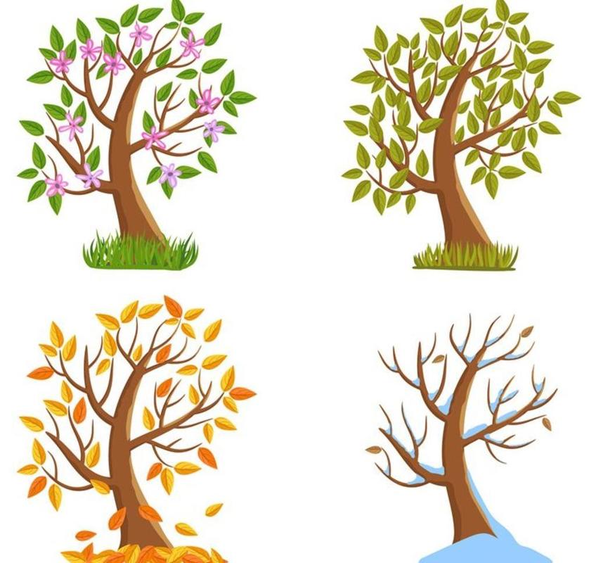 描写春夏秋冬四个季节的景象的话,具体点和简单点,不要太复杂,小学一