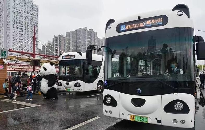 国宝级可爱上海熊猫公交车萌翻了2块钱串起滨江美景