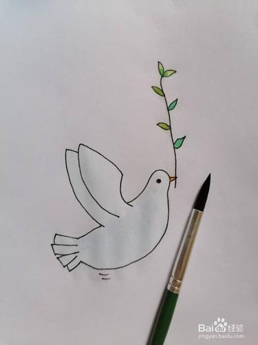 也可以用自己喜欢的颜色涂,和平白鸽就画好啦