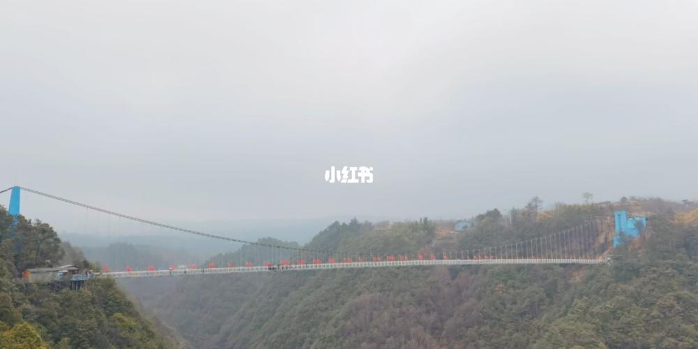 打卡四明山网红玻璃栈道_丹山赤水风景名胜区_游玩_出行_出行攻略