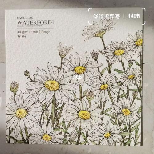 手绘·钢笔淡彩|白色小雏菊_钢笔淡彩_小雏菊_花卉_手绘_上色_水彩画