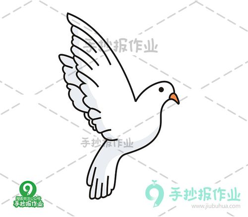 白鸽简笔画