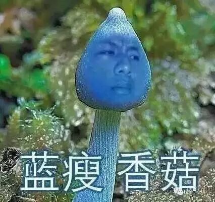 一夜之间,朋友圈都被"蓝瘦""香菇"洗脑了,太!魔!性!
