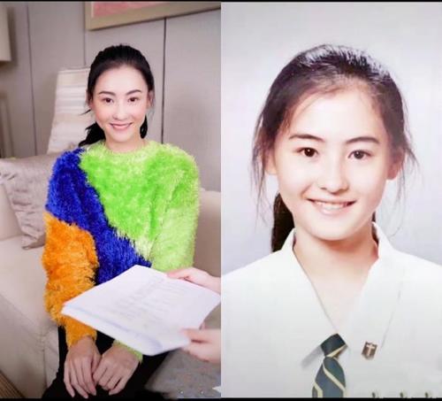 张柏芝年轻时的美照(张柏芝学生时期证件照曝光)