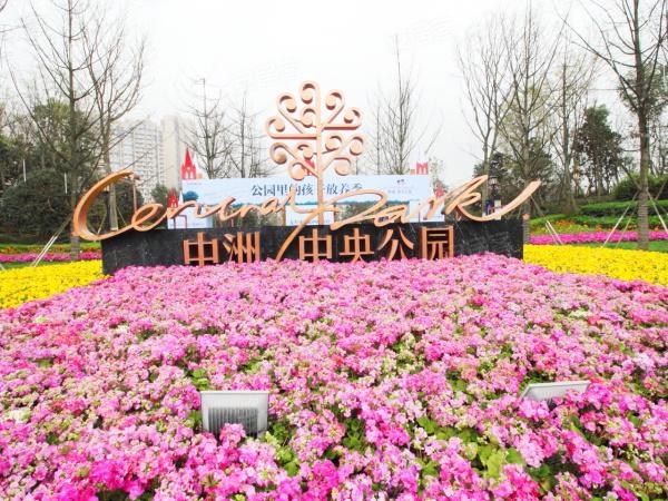 中洲中央公园,成都中洲中央公园房价,楼盘户型,周边