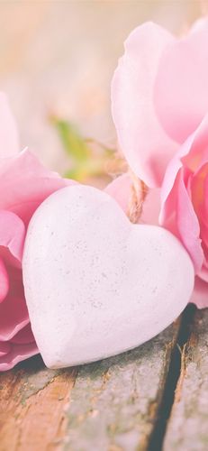 壁纸 粉红玫瑰,爱的心,情人节 3840x2160 uhd 4k 高清