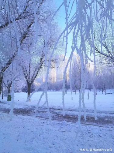 雾凇美景图,请您欣赏