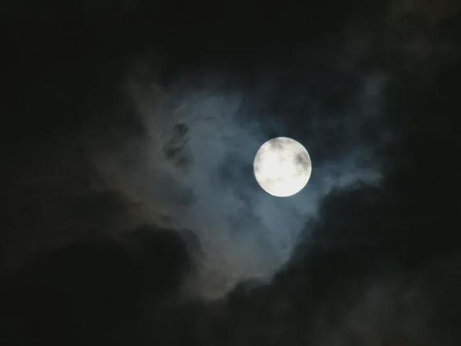 打开夜晚这本书,翻到了月亮——这本书中最美丽的一页.