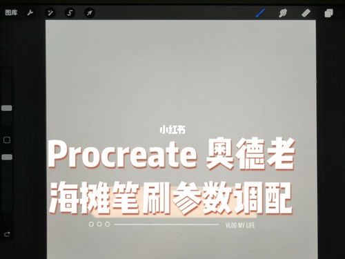 procreate软件奥德老海摊笔刷参数设置_笔刷_procreate_ipad_绘画