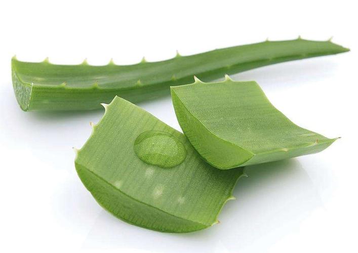 亲自动手diy,痘博士教你自制简单祛痘面膜