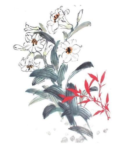 云裳仙子,百事合意—国画百合欣赏