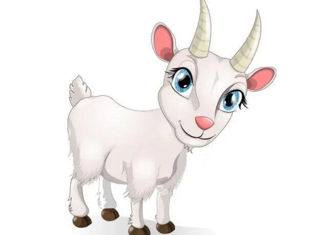 1991年属羊男最佳婚配婚姻美满幸福