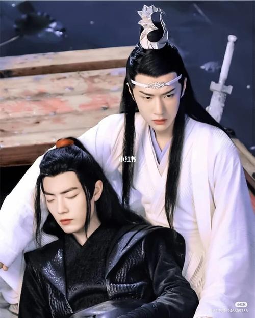 陈情令肖战王一博._陈情令_肖战_王一博_陈情令肖战王