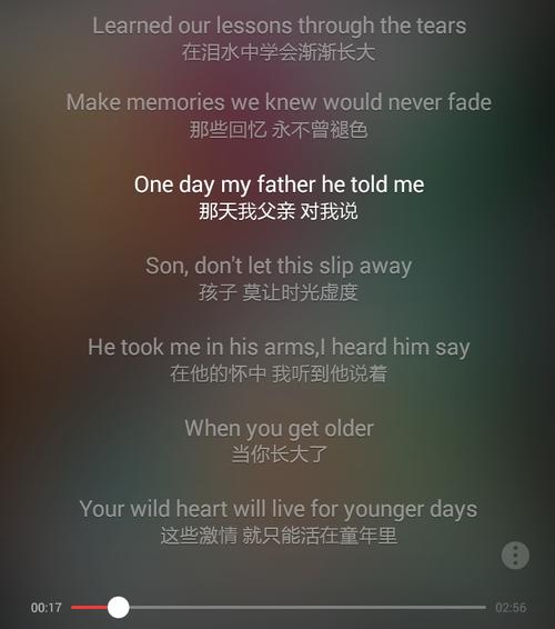 avicii the nights 励志