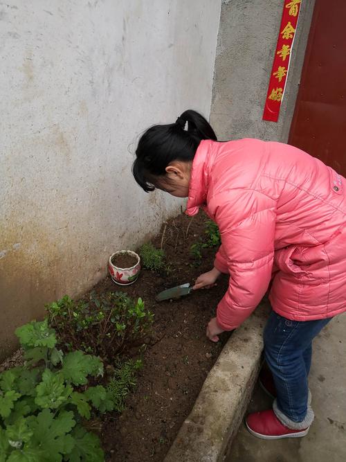 【尚进19班胡婉莹】陌上花开 万物芳华