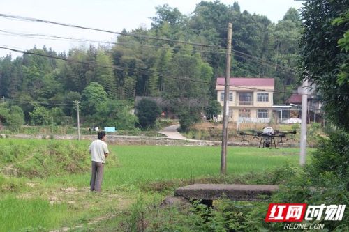 慈利县龙潭河镇江星村农业种植大户努力用科技改变农业现状