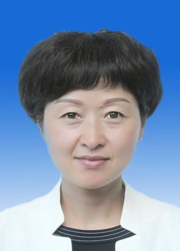 刘岚同志简历