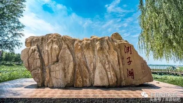 「微媒看丰县」清渊荷韵 情醉梁寨