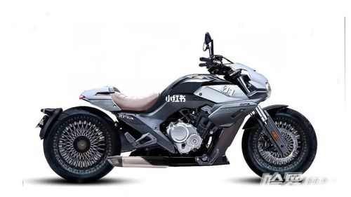 第二台国产四缸-奔达燎_保集蓝郡攻略_机车_测评_小红书机车党_汽车