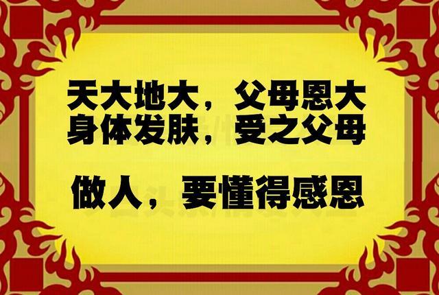 写给天下之不孝子孙