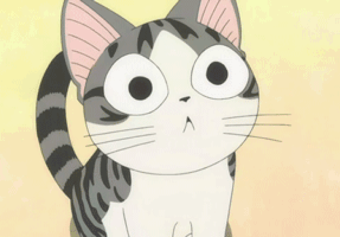 起司猫