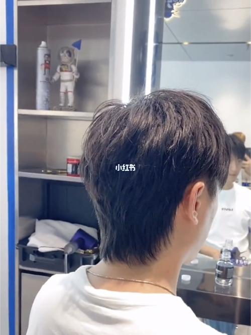 狼尾发型_发型_狼尾_fy发涵时尚美发沙龙攻略_男士发型_美发沙龙_时尚