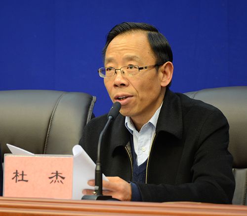 区农牧厅厅长 杜杰.jpg