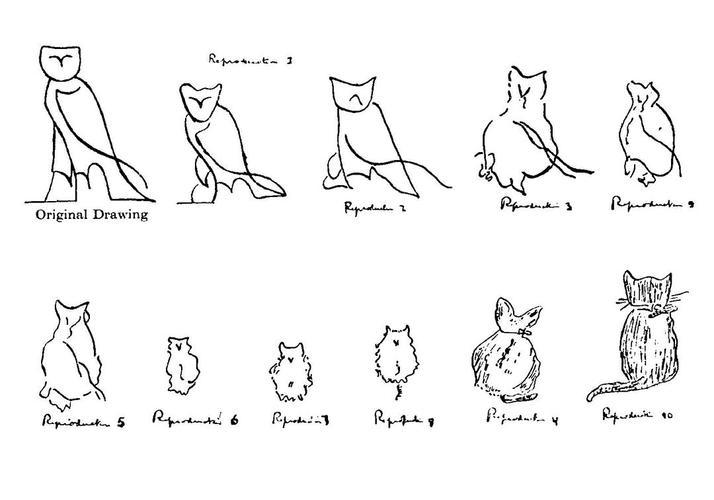 接力画:从象形文字变为猫