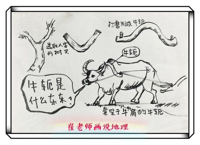 地理视野关于曲峡你应该知道的地理知识一文给你总结全了