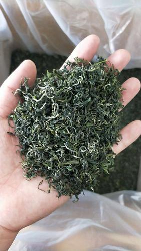 云雾毛尖秋毛尖茶高香入口回甘