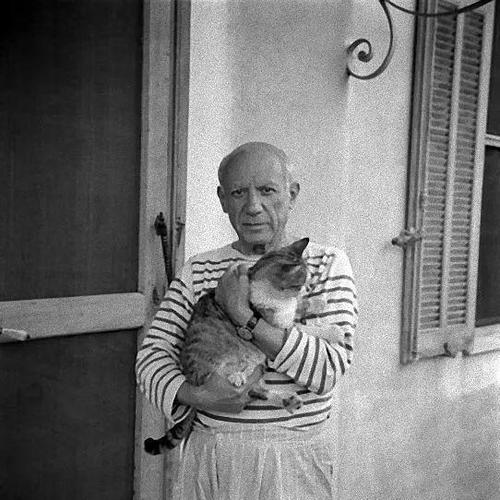 抱着猫的毕加索