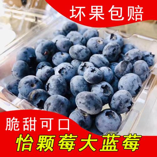 蓝莓鲜果新鲜水果怡颗莓大612盒装云南酸甜蓝莓