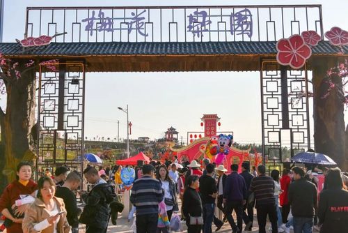 踏春赏花游|梅景如斯,周末来衡阳县梅花村赏梅吧!
