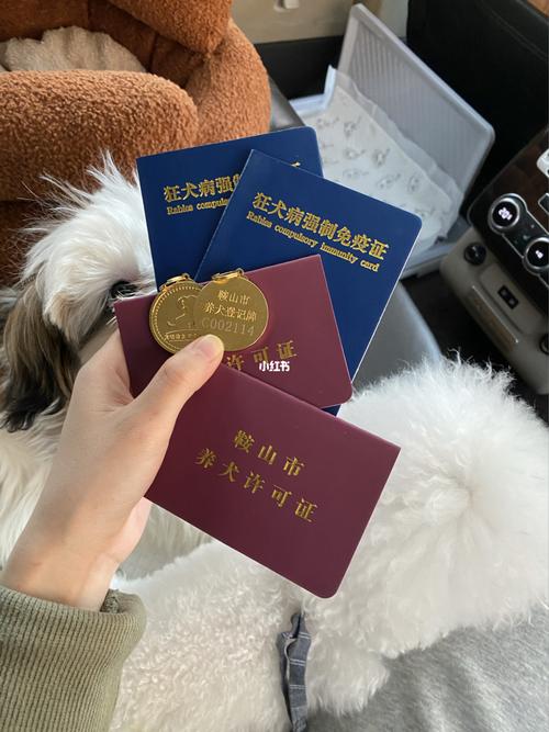 你们地区办狗证费用都是多少?