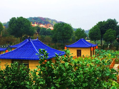 武汉新田园风光景区-江夏花海石林