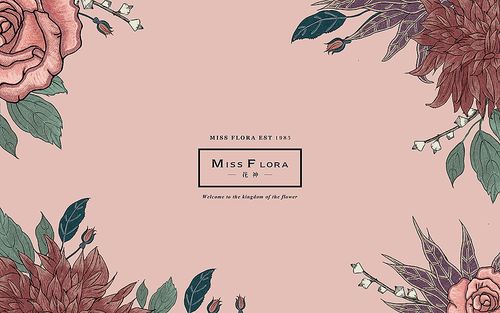 「 miss flora」品牌设计-more than beauty 不止于美