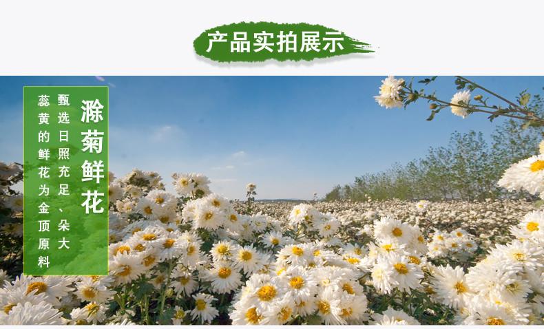 菊泰滁菊特级菊花茶滁州特产贡菊白菊花草茶茶叶60g金顶天香热销推荐