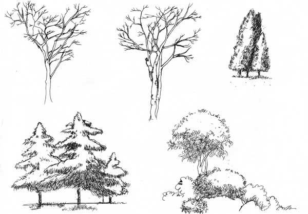 关键字:植物单体线稿,手绘植物线稿图上传日期:2014年07月29日 05时