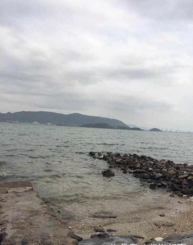 深圳传说中的坝光渔村到了后才知道其实没有那么神