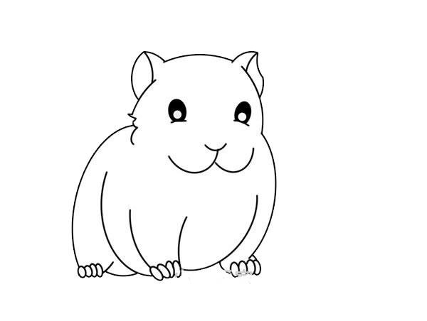 豚鼠简笔画怎么画豚鼠简笔画步骤教程
