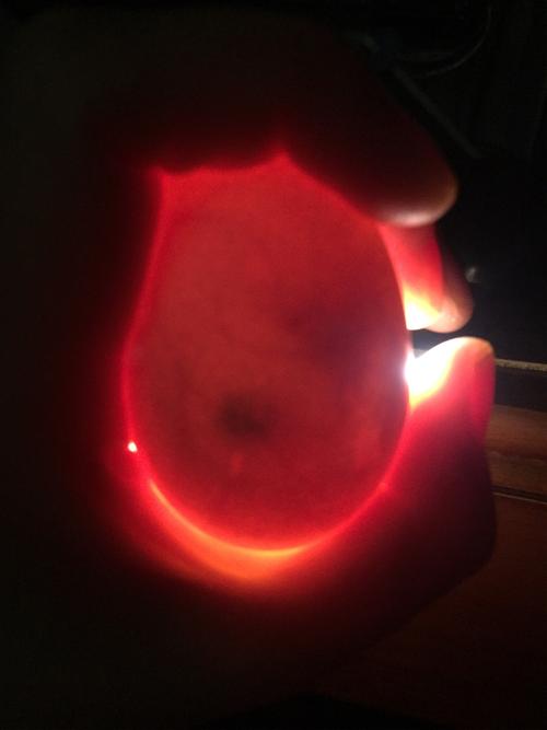 小鸡的成长--薛乐谦 写美篇7月17日 变化 我每天都要用喂水器给孵化器