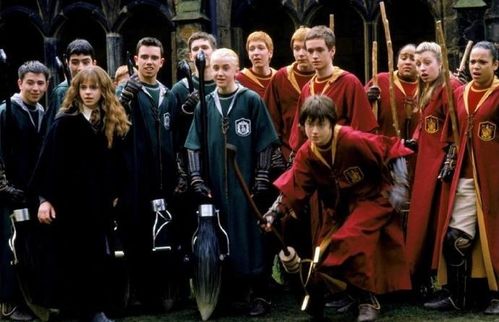 哈利波特霍格沃茨的秘密国服版