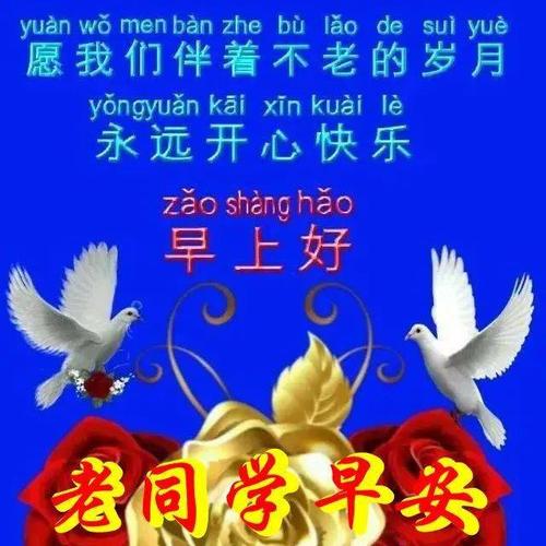 早上好表情包,问候老同学,不论何时何地,祝福永远相随