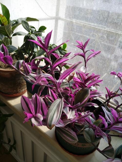 油画婚礼开花了_油画_婚礼_婚嫁_婚礼用品